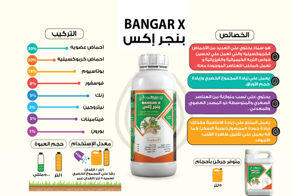 بنجر إكس-5L BANGAR X - اوركيم