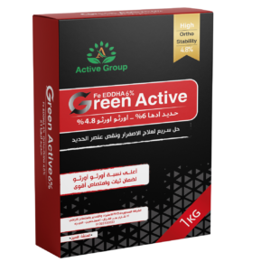 Green Active_جرين أكتيف - 1 كجم